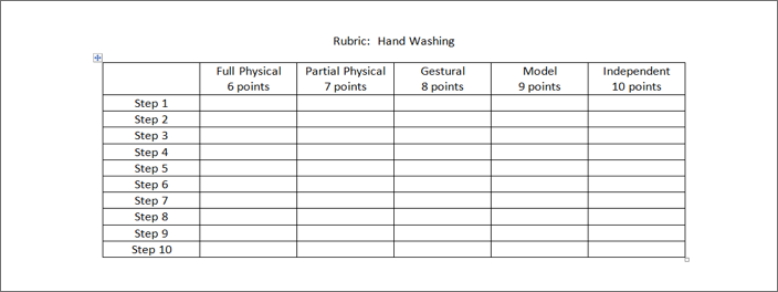 Screenshot of a hand washing rubric. 